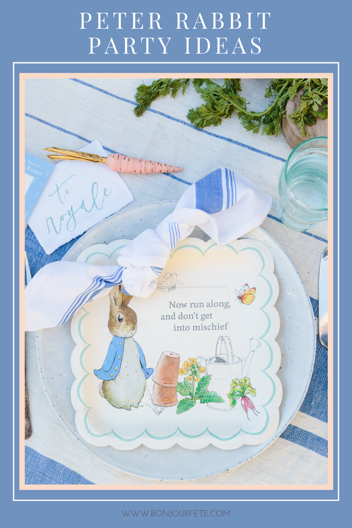 Peter Rabbit Party Supplies & Ideas - Lifes Little Celebration