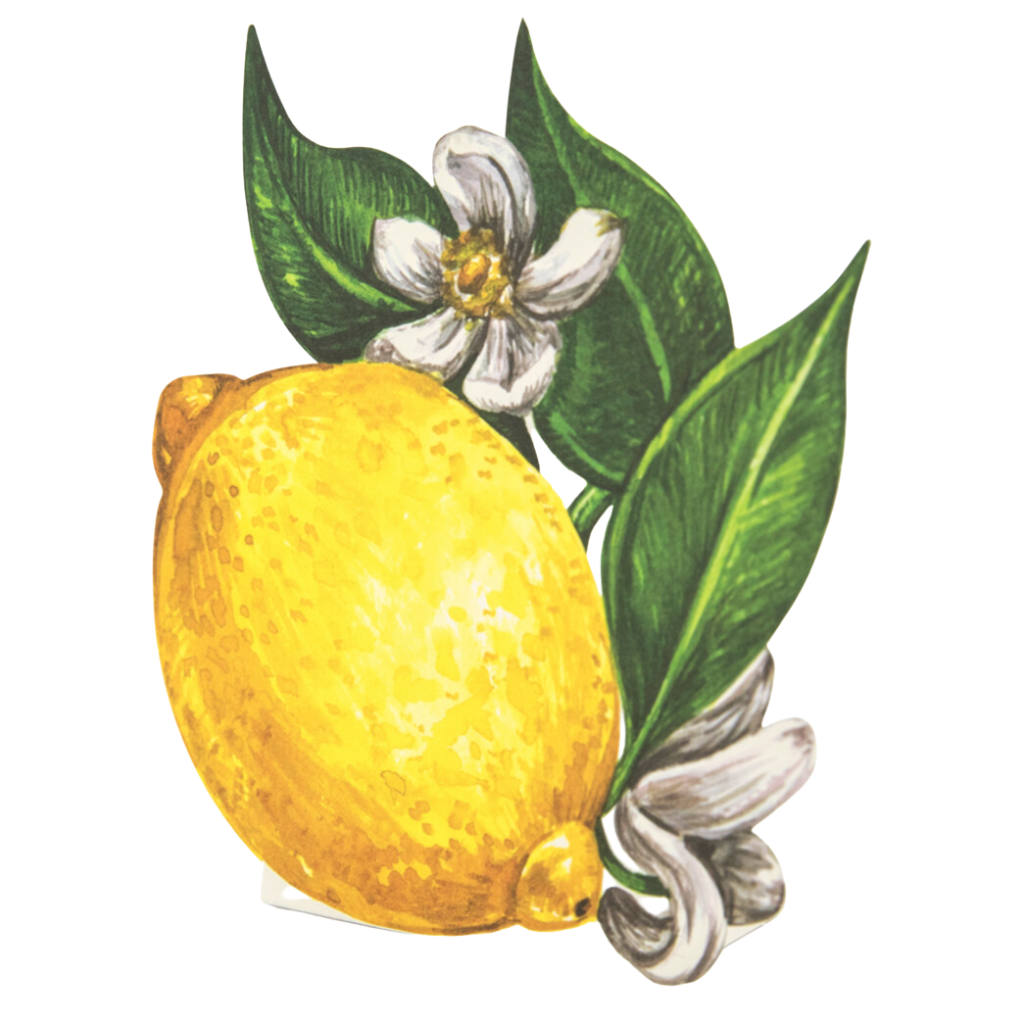 http://www.bonjourfete.com/cdn/shop/files/lemon-placecards1.png?v=1691772584