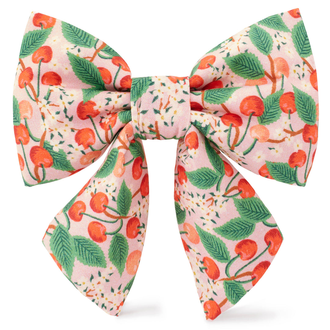 Rifle Paper Co. x TFD Cherry Blossom Spring Lady Dog Bow: Large The Foggy Dog Rifle Paper Co. x TFD Cherry Blossom Spring Lady Dog Bow: Large Bonjour Fete - Party Supplies