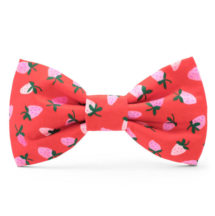 Berry Sweet Valentine's Day Dog Bow Tie: Standard The Foggy Dog Berry Sweet Valentine's Day Dog Bow Tie: Standard Bonjour Fete - Party Supplies