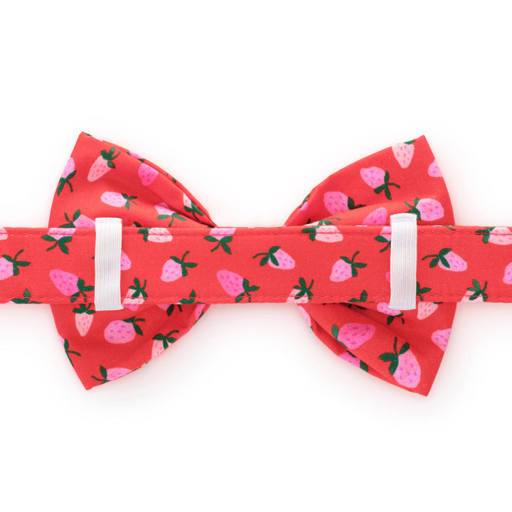 Berry Sweet Valentine's Day Dog Bow Tie: Standard The Foggy Dog Berry Sweet Valentine's Day Dog Bow Tie: Standard Bonjour Fete - Party Supplies