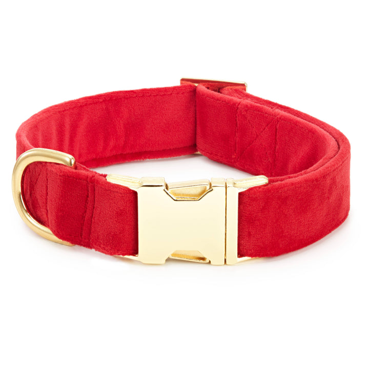 Cranberry Velvet Dog Collar: XS / Gold The Foggy Dog Cranberry Velvet Dog Collar: XS / Gold Bonjour Fete - Party Supplies