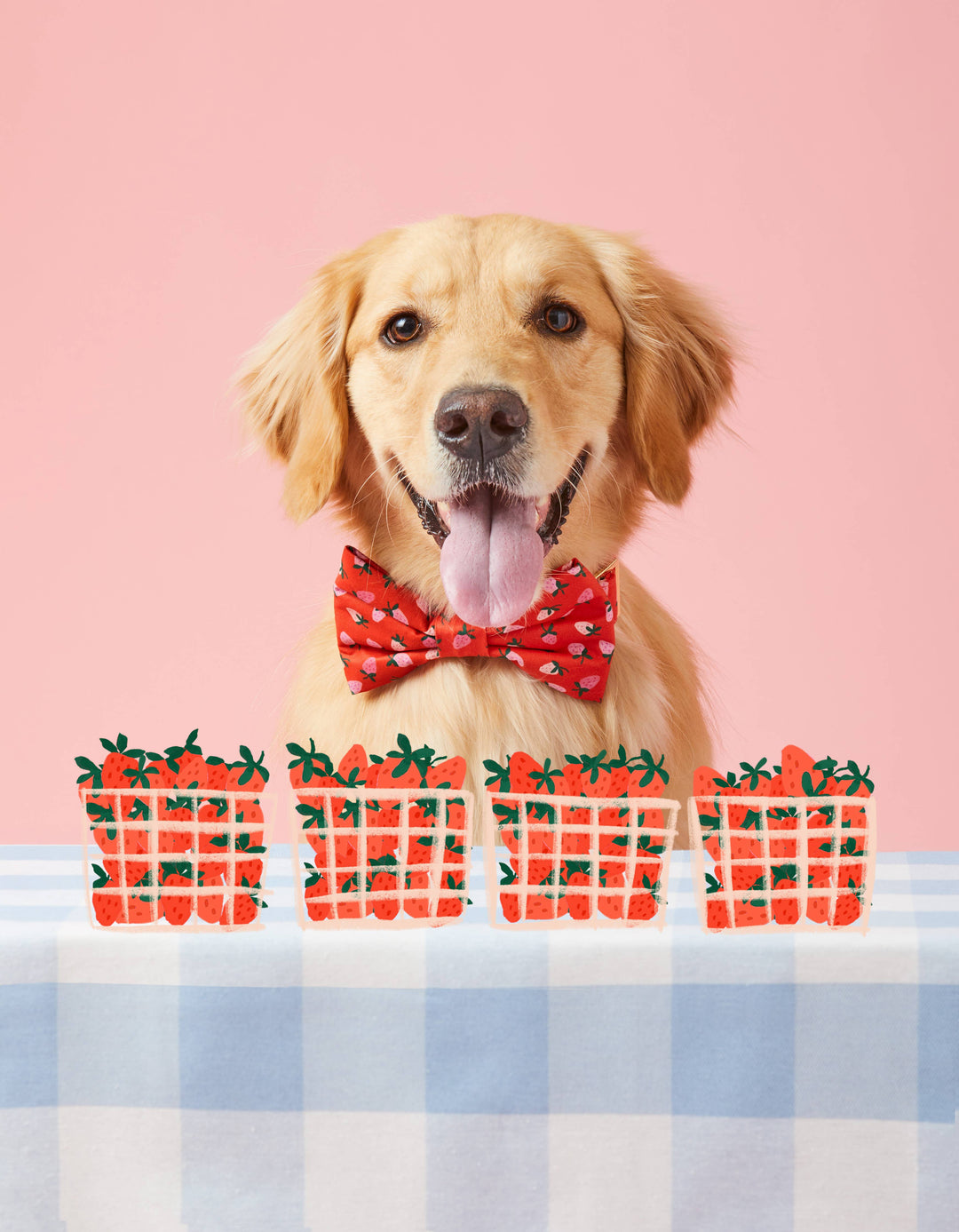 Berry Sweet Valentine's Day Dog Bow Tie: Standard The Foggy Dog Berry Sweet Valentine's Day Dog Bow Tie: Standard Bonjour Fete - Party Supplies