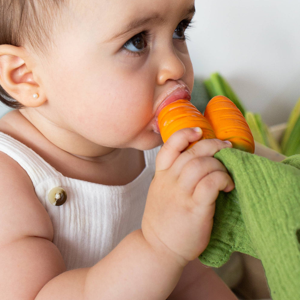 Cathy the Carrot Mini DouDou Teether Oli & Carol Cathy the Carrot Mini DouDou Teether Bonjour Fete - Party Supplies