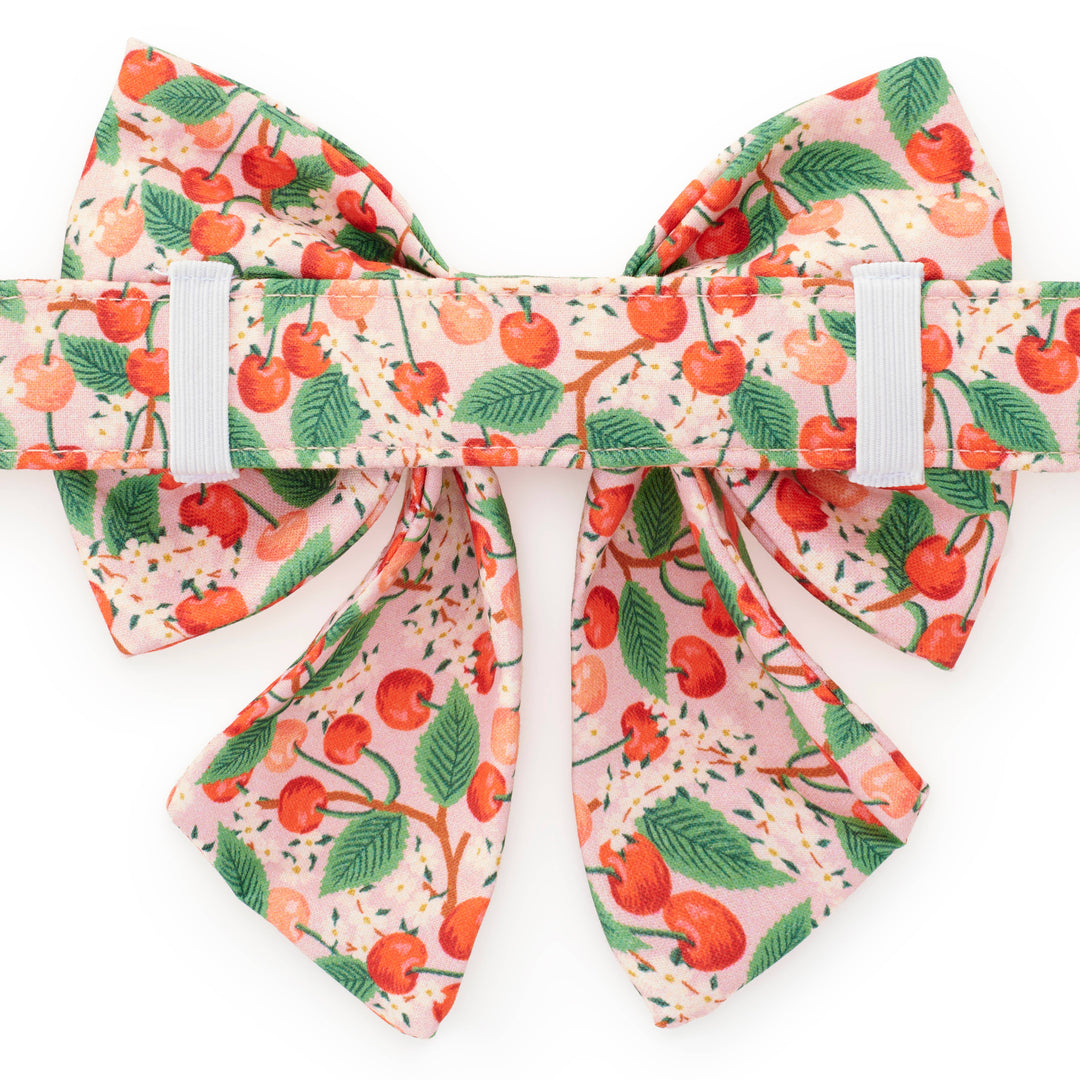 Rifle Paper Co. x TFD Cherry Blossom Spring Lady Dog Bow: Large The Foggy Dog Rifle Paper Co. x TFD Cherry Blossom Spring Lady Dog Bow: Large Bonjour Fete - Party Supplies