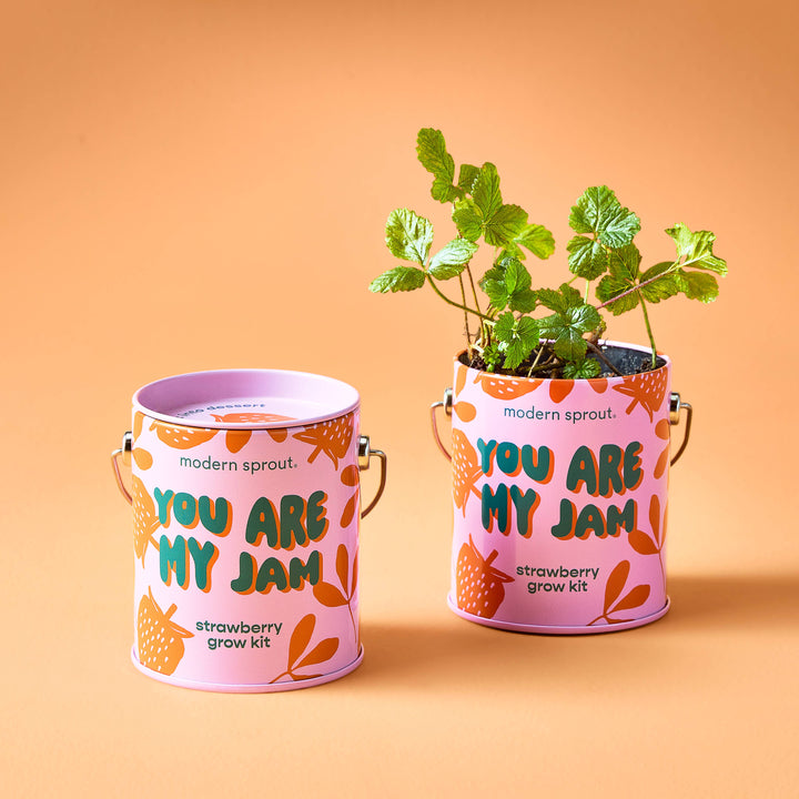 Complimentary Color Grow Kits: You are My Jam Modern Sprout Complimentary Color Grow Kits: You are My Jam Bonjour Fete - Party Supplies