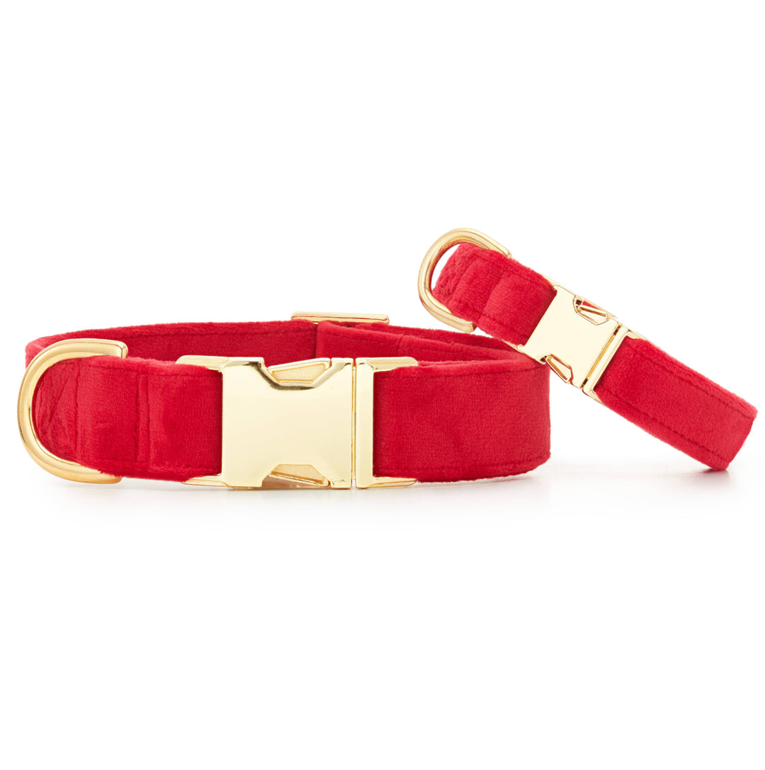 Cranberry Velvet Dog Collar: XS / Gold The Foggy Dog Cranberry Velvet Dog Collar: XS / Gold Bonjour Fete - Party Supplies