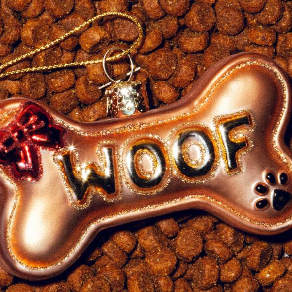 DOG BONE GLASS ORNAMENT Vondels Christmas Ornament Bonjour Fete - Party Supplies