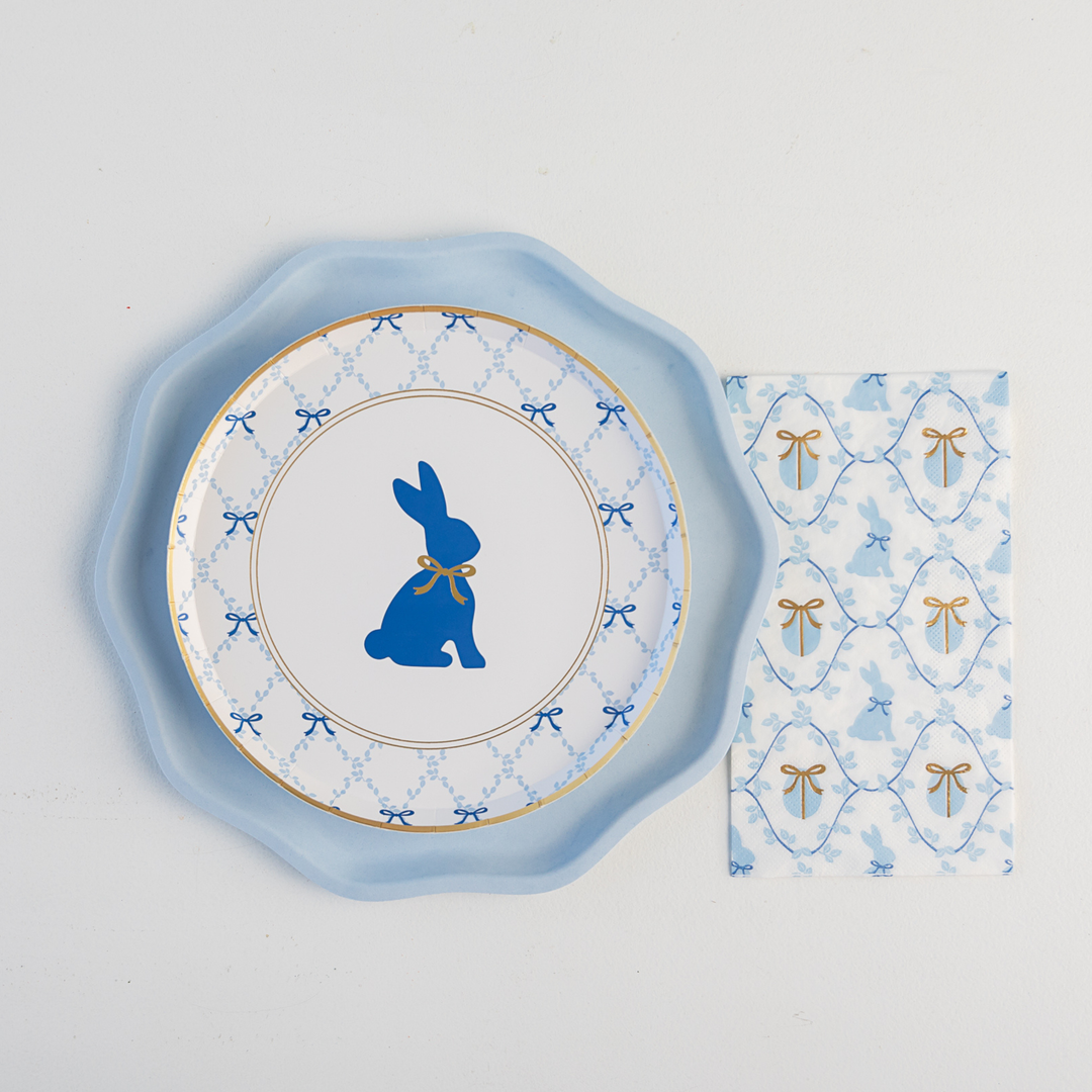 SKY BLUE COMPOSTABLE DINNER PLATES Bonjour Fete SKY BLUE COMPOSTABLE DINNER PLATES Bonjour Fete - Party Supplies