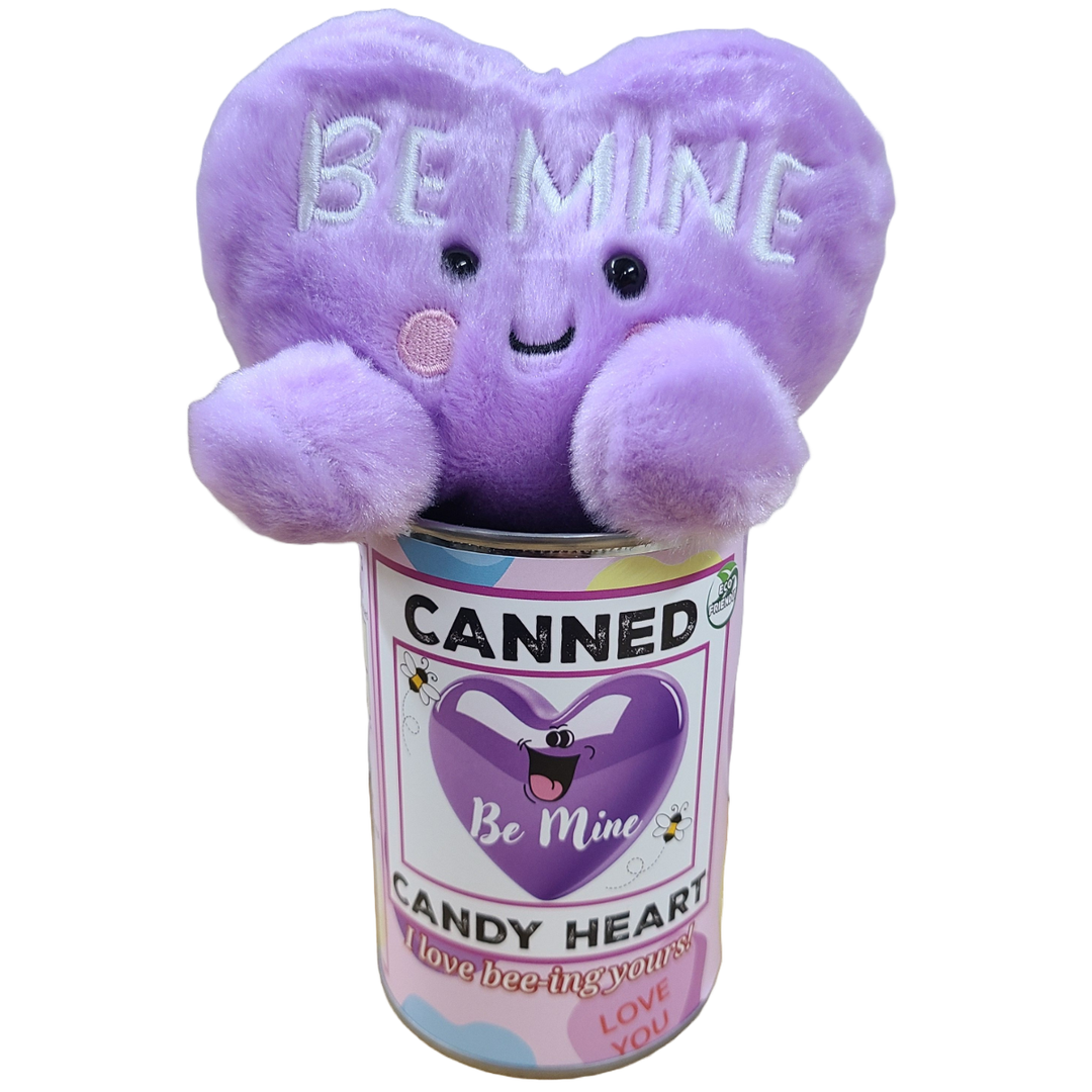 Canned Be Mine Candy Heart | Funny Jokes Valentine Plush: Pop Top Lid Canned Gifts Canned Be Mine Candy Heart | Funny Jokes Valentine Plush: Pop Top Lid Bonjour Fete - Party Supplies