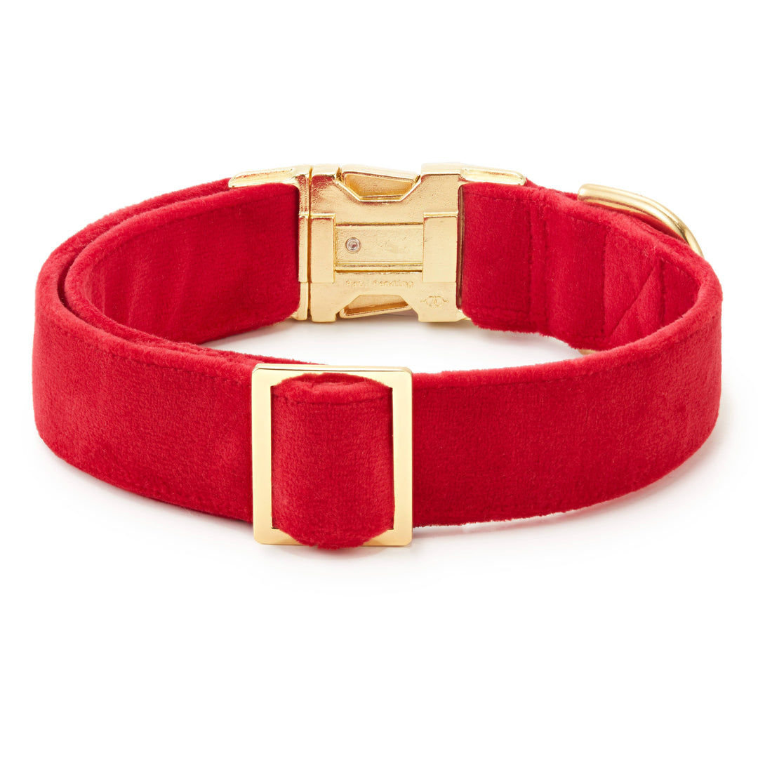 Cranberry Velvet Dog Collar: XS / Gold The Foggy Dog Cranberry Velvet Dog Collar: XS / Gold Bonjour Fete - Party Supplies