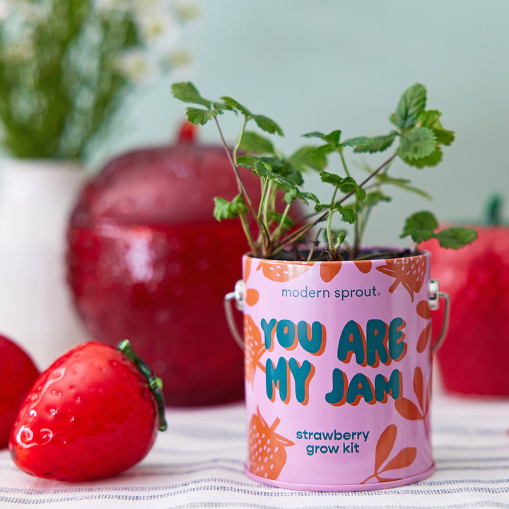 Complimentary Color Grow Kits: You are My Jam Modern Sprout Complimentary Color Grow Kits: You are My Jam Bonjour Fete - Party Supplies