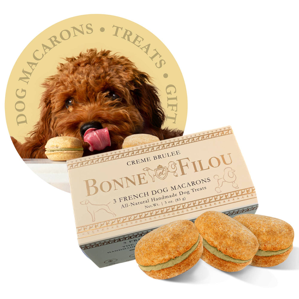 Crème Brulée Macaron Dog Treats Bonjour Fete Party Supplies Pet