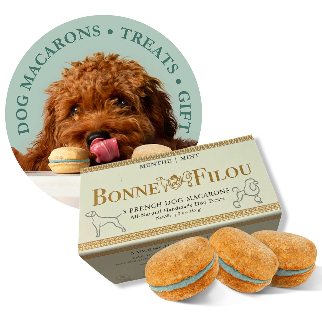 Birthday Cake Macaron Dog Treats Bonjour Fete Party Supplies Pet